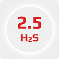Сероводород 2.5